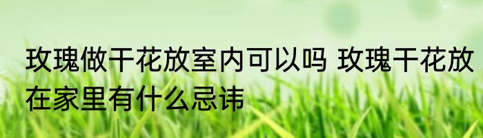 玫瑰做干花放室内可以吗 玫瑰干花放在家里有什么忌讳