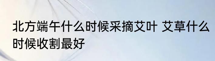 北方端午什么时候采摘艾叶 艾草什么时候收割最好