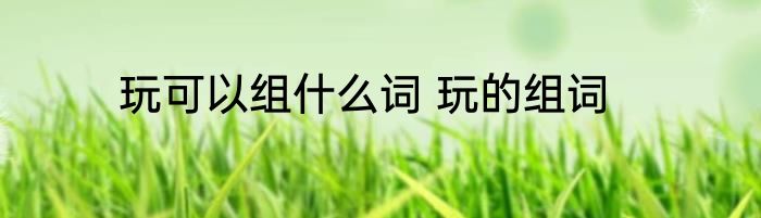 玩可以组什么词 玩的组词