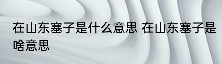 在山东塞子是什么意思 在山东塞子是啥意思
