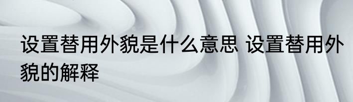 设置替用外貌是什么意思 设置替用外貌的解释