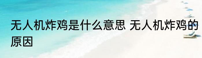 无人机炸鸡是什么意思 无人机炸鸡的原因