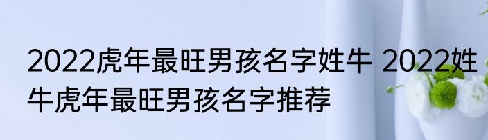 2022虎年最旺男孩名字姓牛 2022姓牛虎年最旺男孩名字推荐