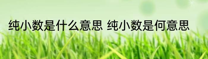 纯小数是什么意思 纯小数是何意思