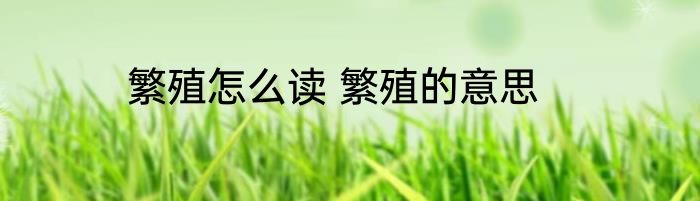 繁殖怎么读 繁殖的意思