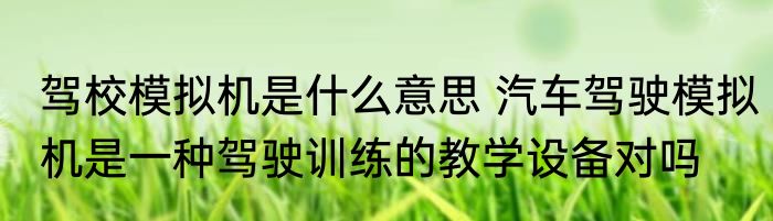驾校模拟机是什么意思 汽车驾驶模拟机是一种驾驶训练的教学设备对吗