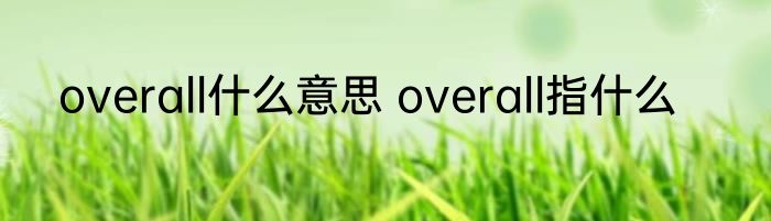 overall什么意思 overall指什么