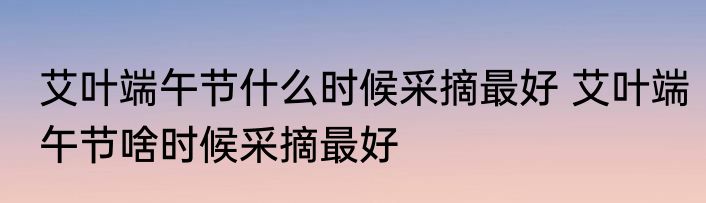 艾叶端午节什么时候采摘最好 艾叶端午节啥时候采摘最好