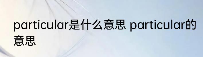 particular是什么意思 particular的意思