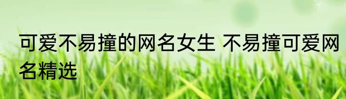 可爱不易撞的网名女生 不易撞可爱网名精选
