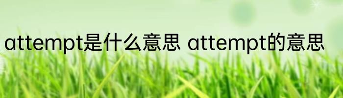 attempt是什么意思 attempt的意思