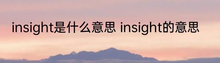 insight是什么意思 insight的意思