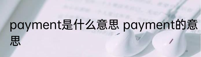 payment是什么意思 payment的意思