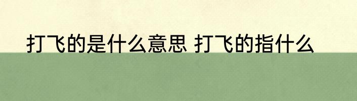 打飞的是什么意思 打飞的指什么