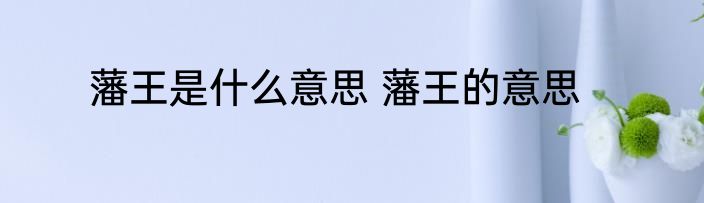 藩王是什么意思 藩王的意思