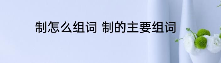 制怎么组词 制的主要组词