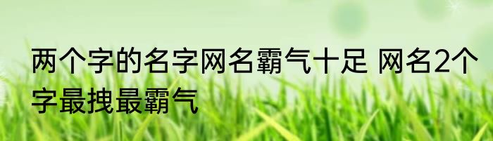 两个字的名字网名霸气十足 网名2个字最拽最霸气
