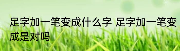 足字加一笔变成什么字 足字加一笔变成是对吗