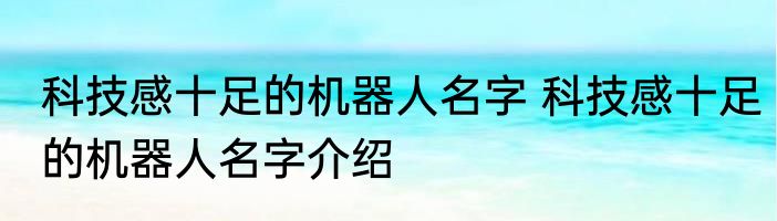 科技感十足的机器人名字 科技感十足的机器人名字介绍