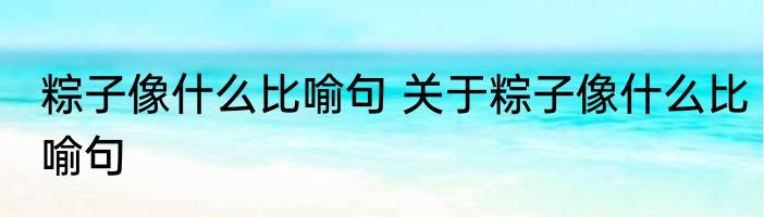 粽子像什么比喻句 关于粽子像什么比喻句