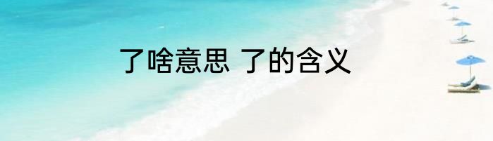 了啥意思 了的含义