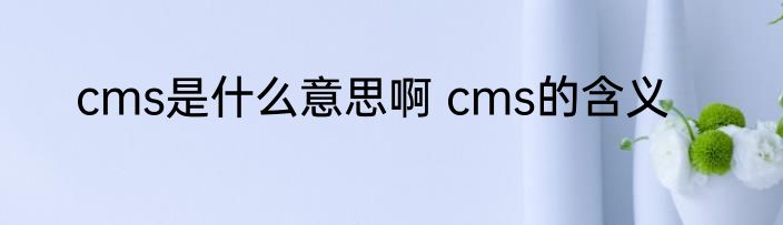 cms是什么意思啊 cms的含义