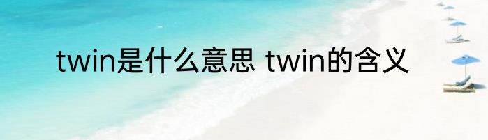 twin是什么意思 twin的含义