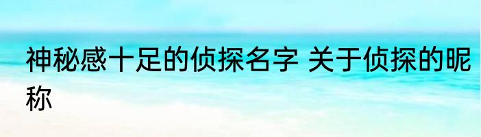 神秘感十足的侦探名字 关于侦探的昵称