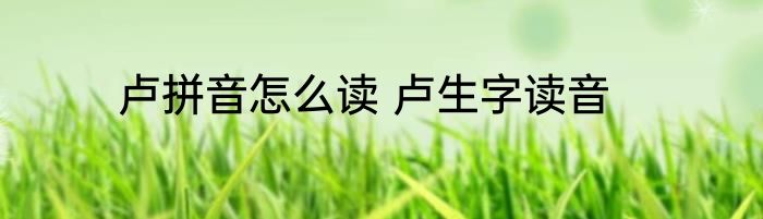 卢拼音怎么读 卢生字读音
