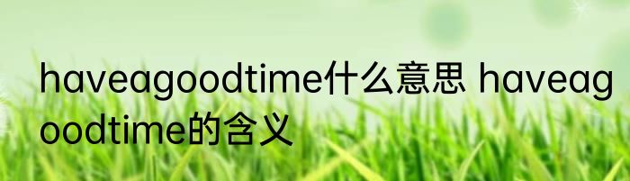 haveagoodtime什么意思 haveagoodtime的含义