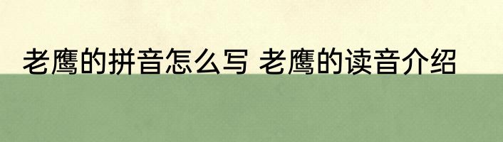 老鹰的拼音怎么写 老鹰的读音介绍