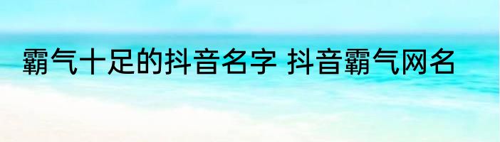 霸气十足的抖音名字 抖音霸气网名