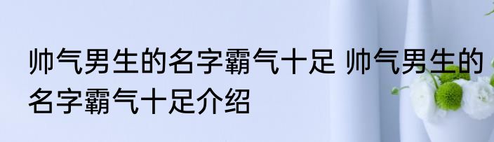 帅气男生的名字霸气十足 帅气男生的名字霸气十足介绍