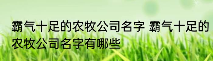 霸气十足的农牧公司名字 霸气十足的农牧公司名字有哪些