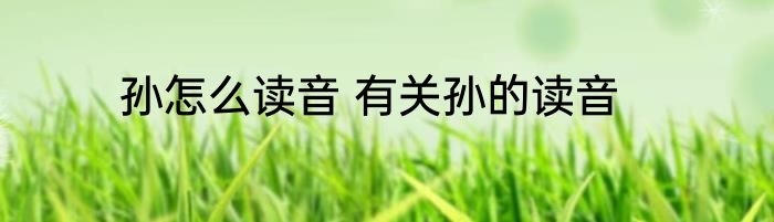 孙怎么读音 有关孙的读音