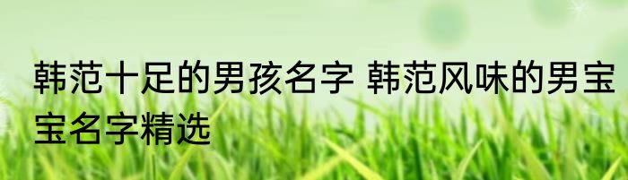 韩范十足的男孩名字 韩范风味的男宝宝名字精选