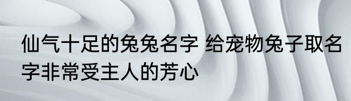 仙气十足的兔兔名字 给宠物兔子取名字非常受主人的芳心