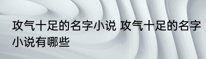 攻气十足的名字小说 攻气十足的名字小说有哪些