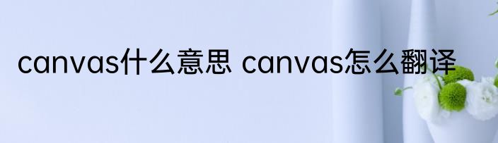 canvas什么意思 canvas怎么翻译