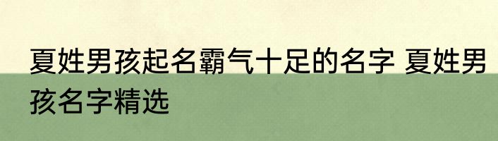 夏姓男孩起名霸气十足的名字 夏姓男孩名字精选
