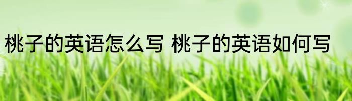 桃子的英语怎么写 桃子的英语如何写