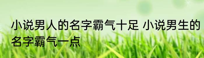 小说男人的名字霸气十足 小说男生的名字霸气一点