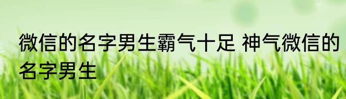 微信的名字男生霸气十足 神气微信的名字男生