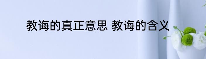 教诲的真正意思 教诲的含义