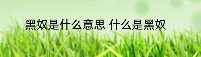 黑奴是什么意思 什么是黑奴