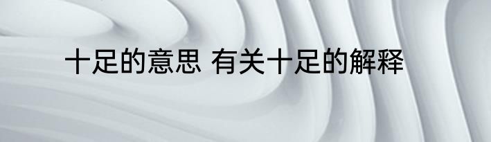 十足的意思 有关十足的解释