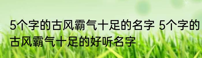 5个字的古风霸气十足的名字 5个字的古风霸气十足的好听名字