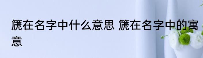 篪在名字中什么意思 篪在名字中的寓意