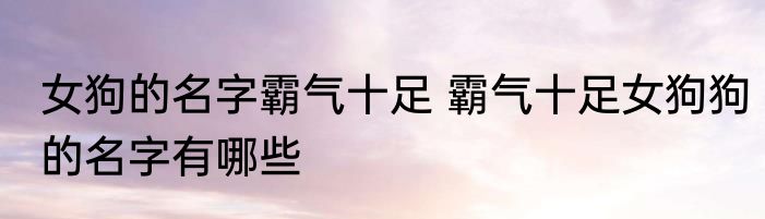 女狗的名字霸气十足 霸气十足女狗狗的名字有哪些