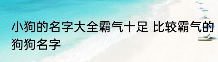 小狗的名字大全霸气十足 比较霸气的狗狗名字